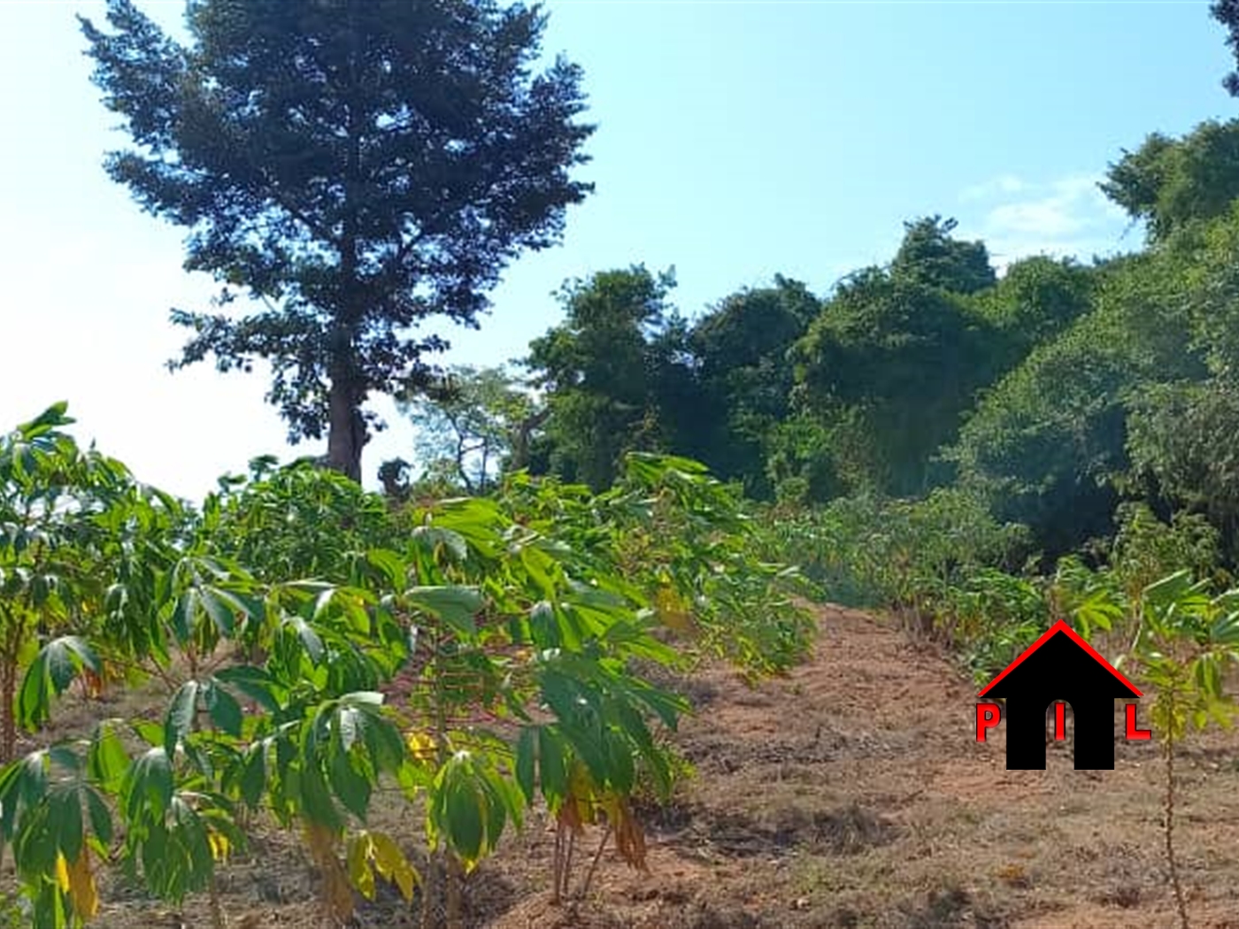 Commercial Land for sale in Kaazi Wakiso