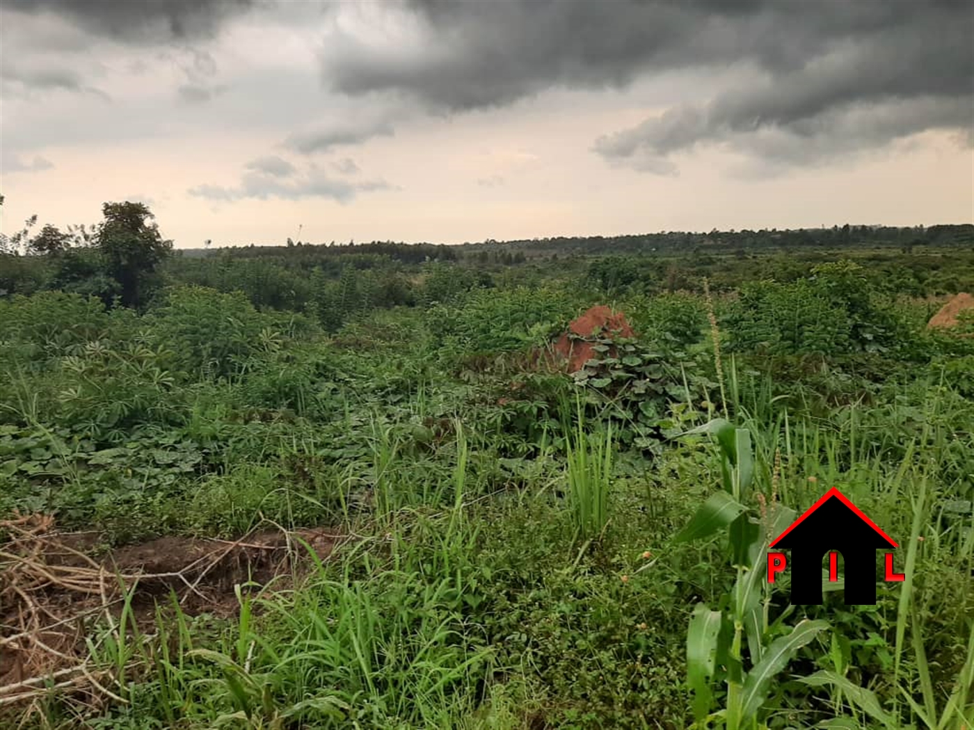 Agricultural Land for sale in Busiika Luweero