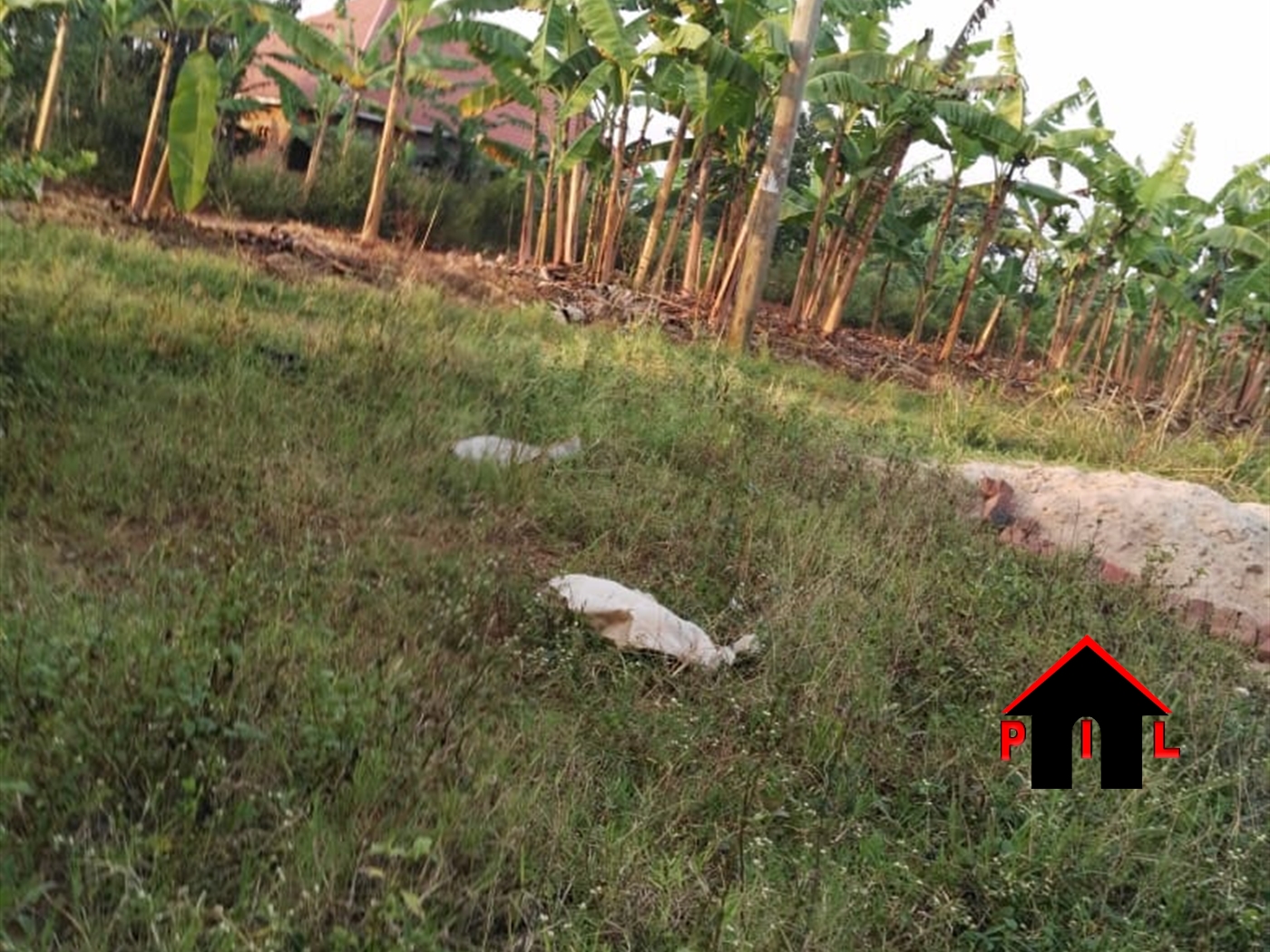 Residential Land for sale in Kasengejje Wakiso