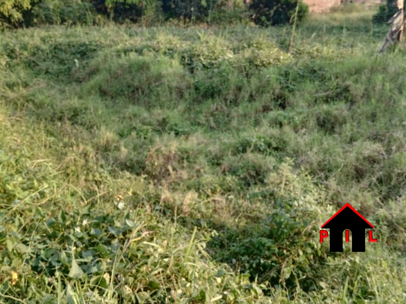 Residential Land for sale in Kasengejje Wakiso