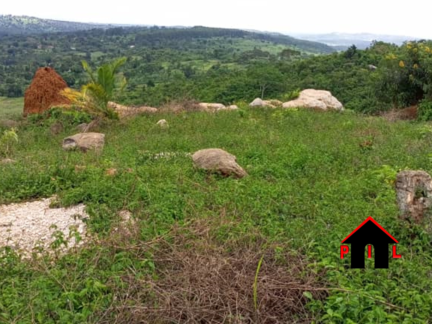 Commercial Land for sale in Namutamba Mityana