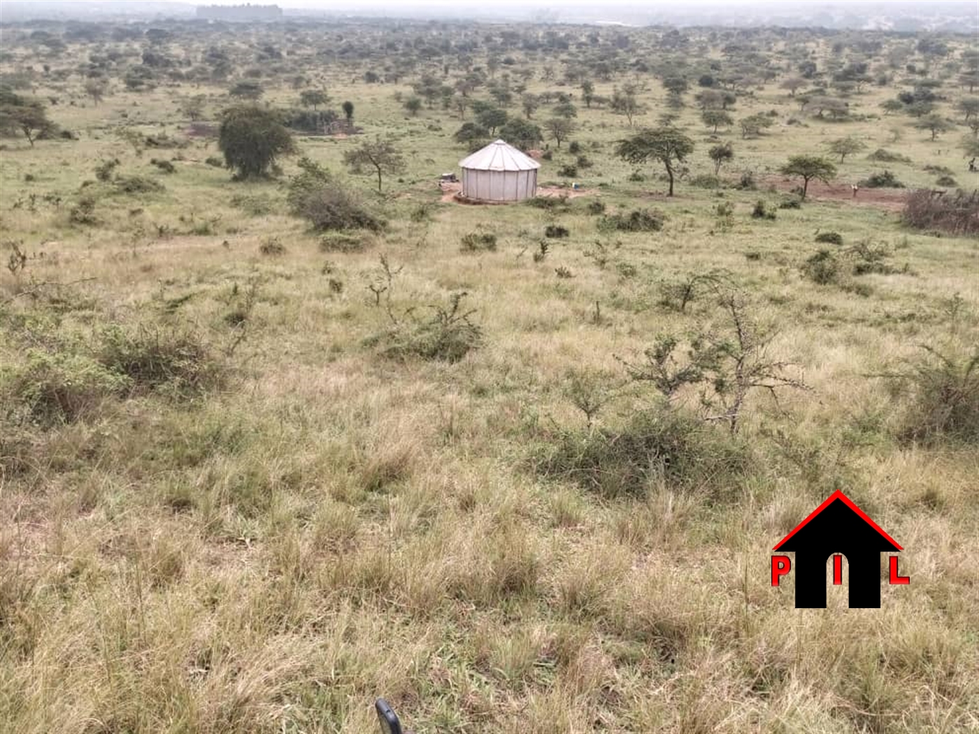 Farm for sale in Nshenyi Ntungamo