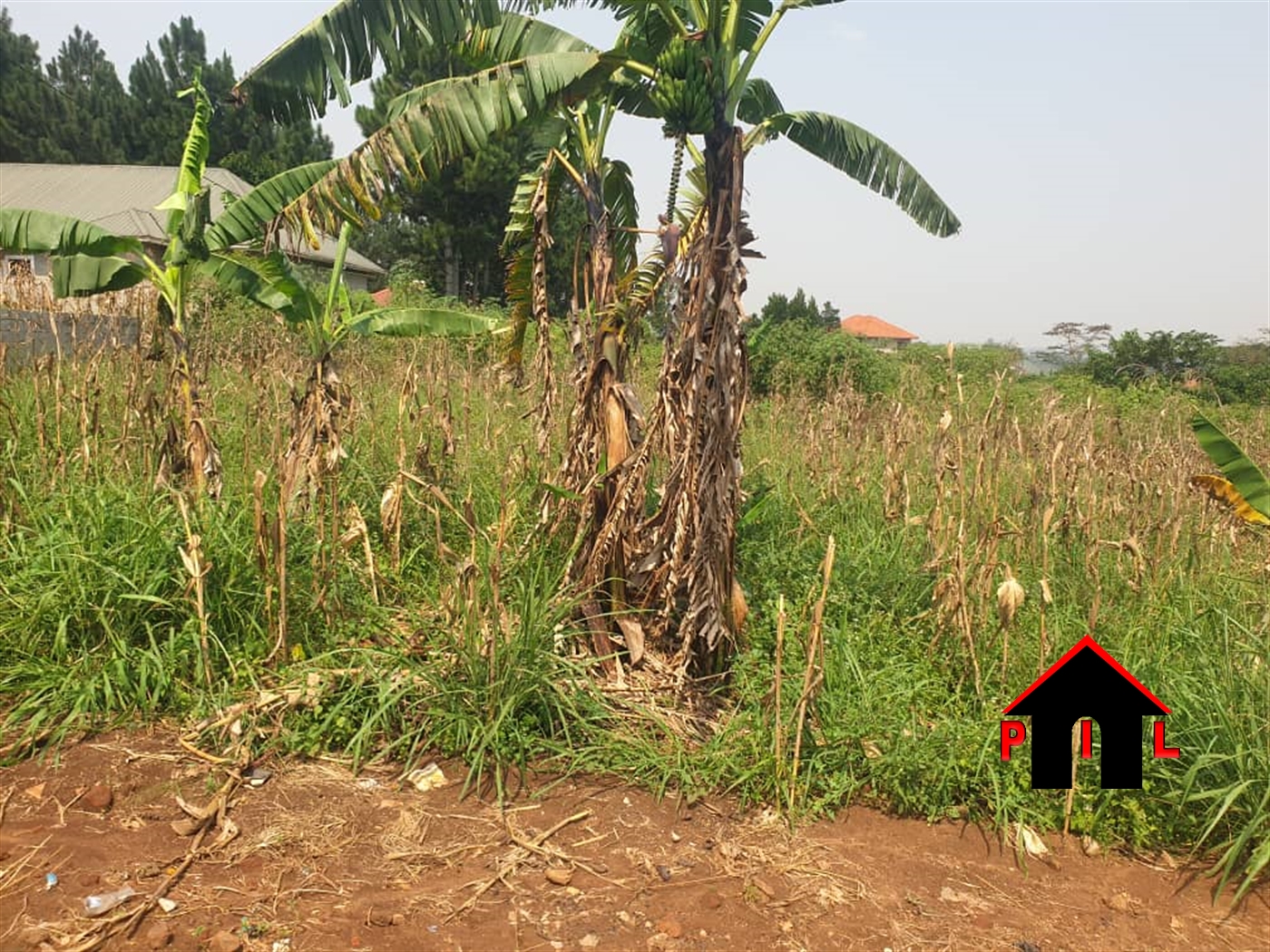 Commercial Land for sale in Bulindo Wakiso