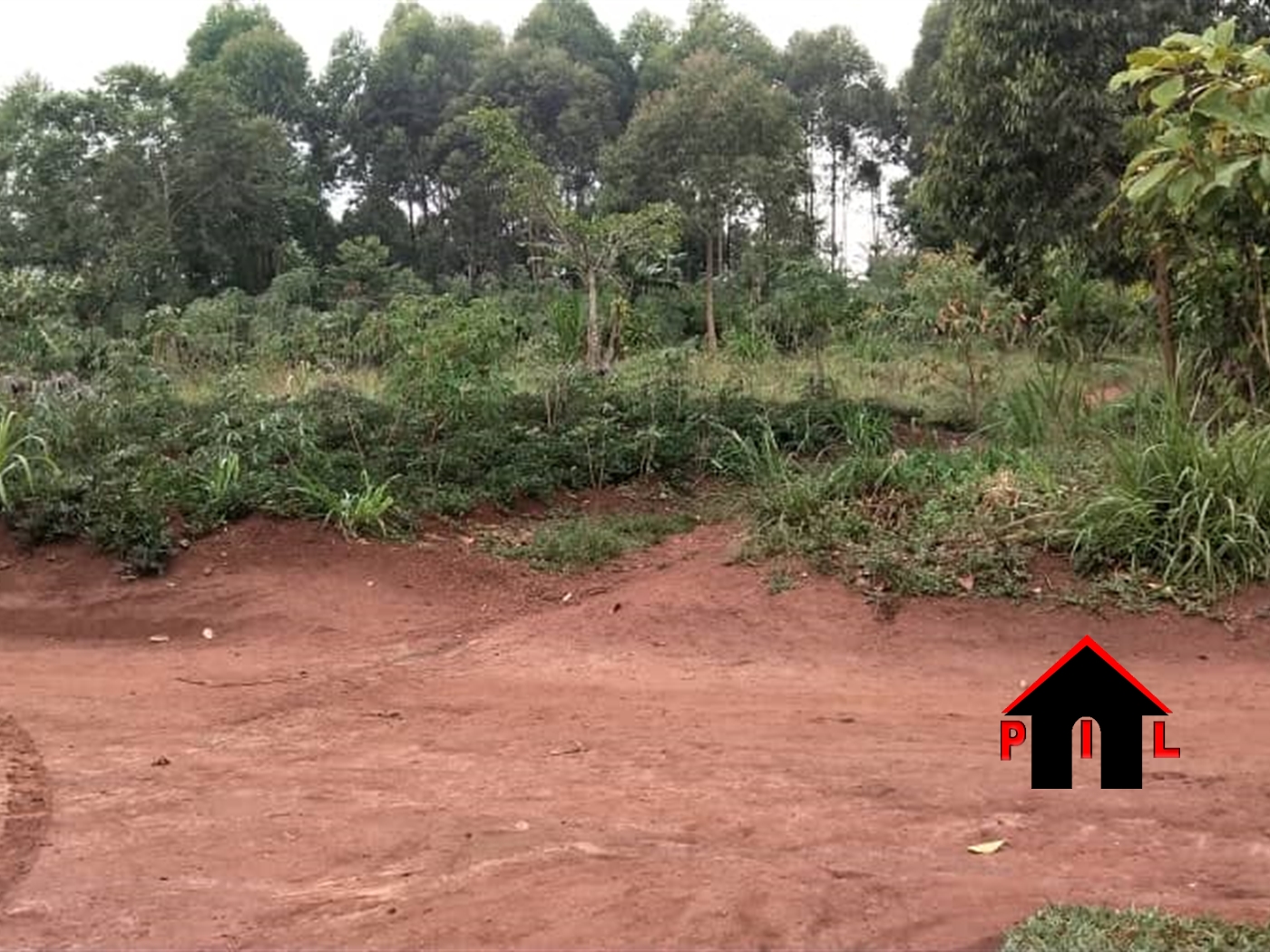 Agricultural Land for sale in Buwama Mpigi