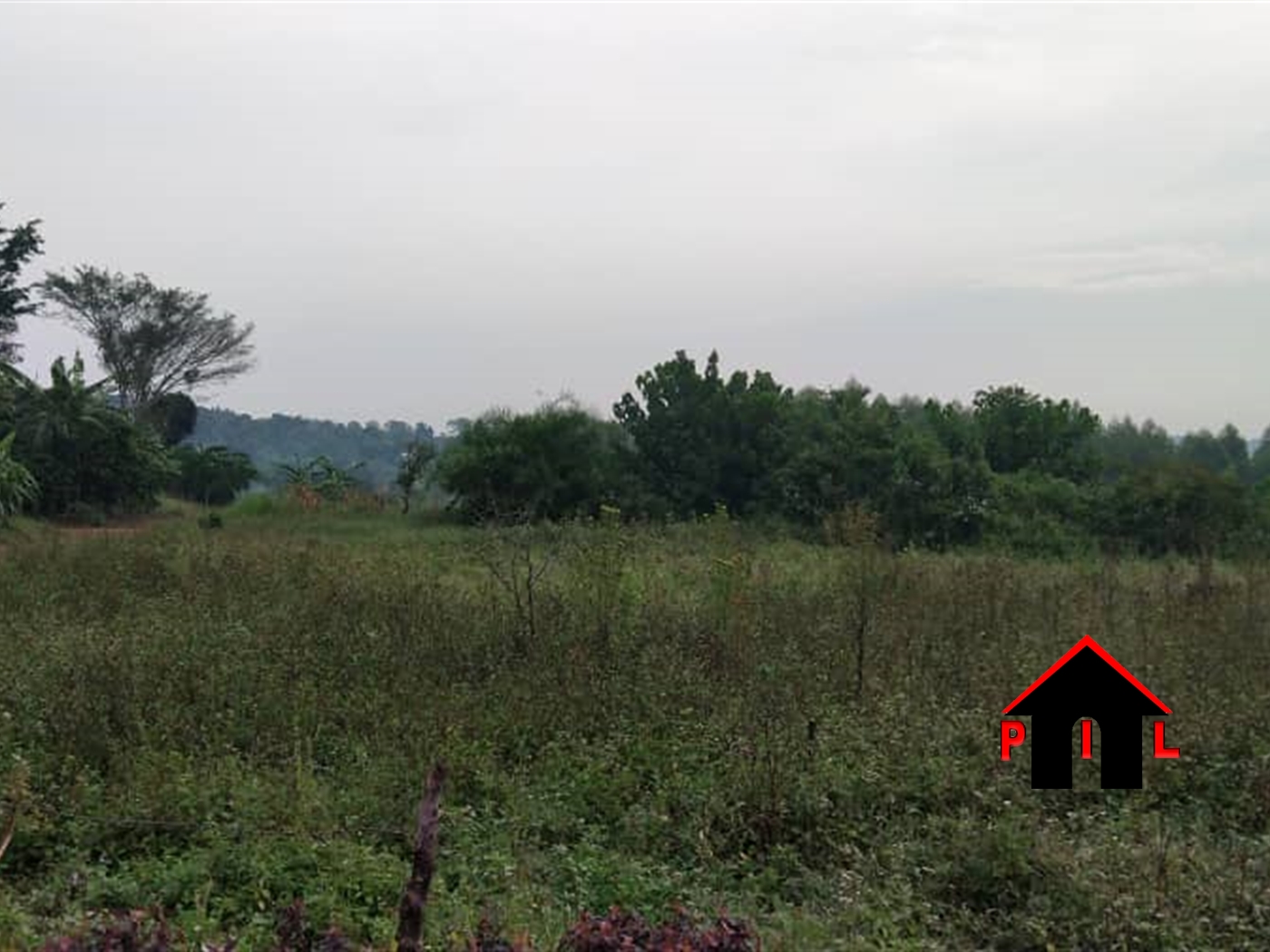 Agricultural Land for sale in Buwama Mpigi