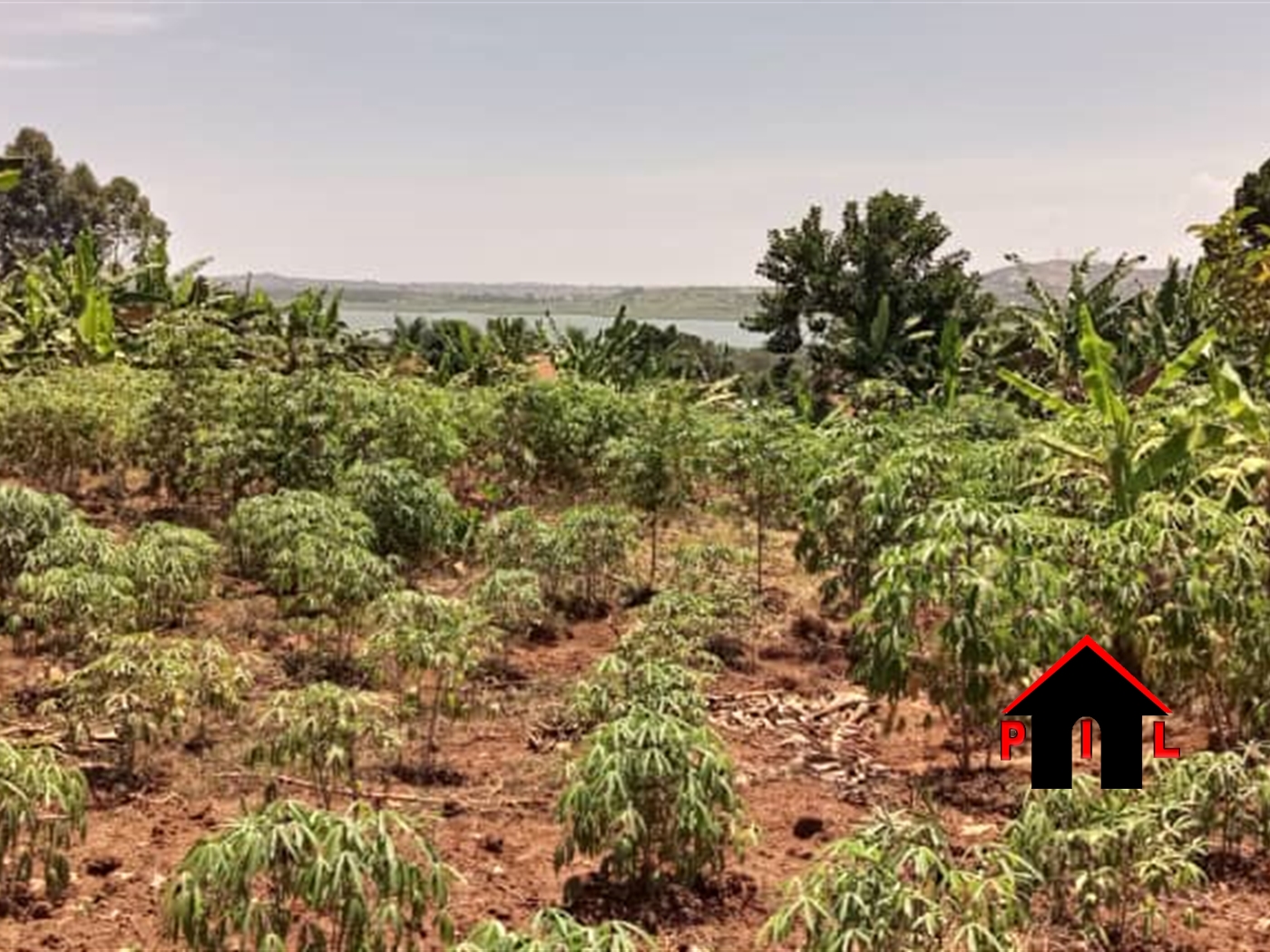 Commercial Land for sale in Kigo Wakiso