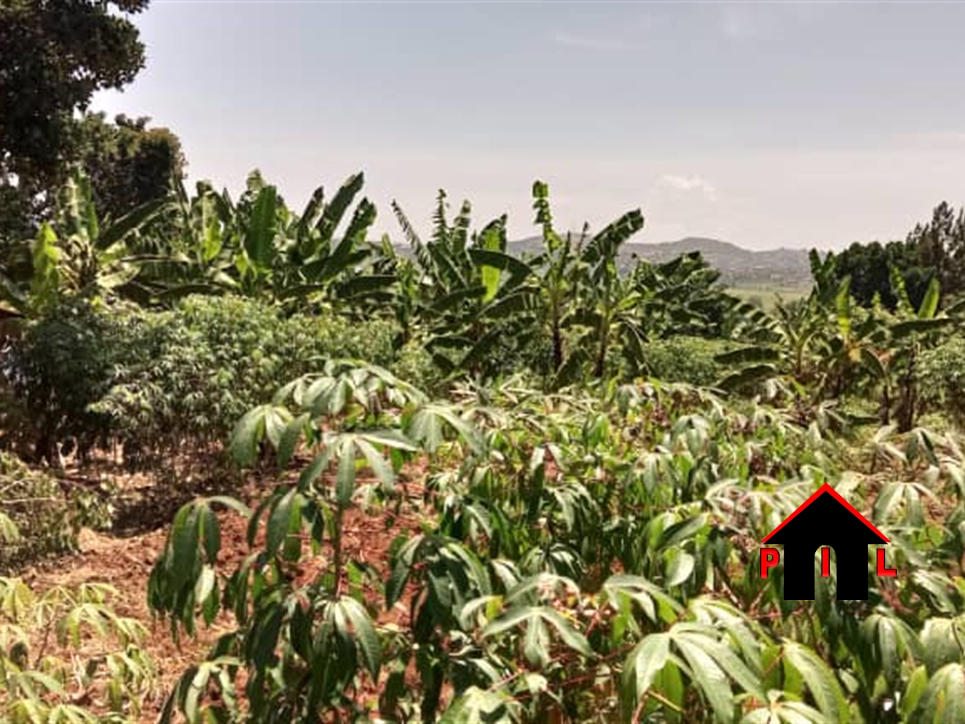 Commercial Land for sale in Kigo Wakiso