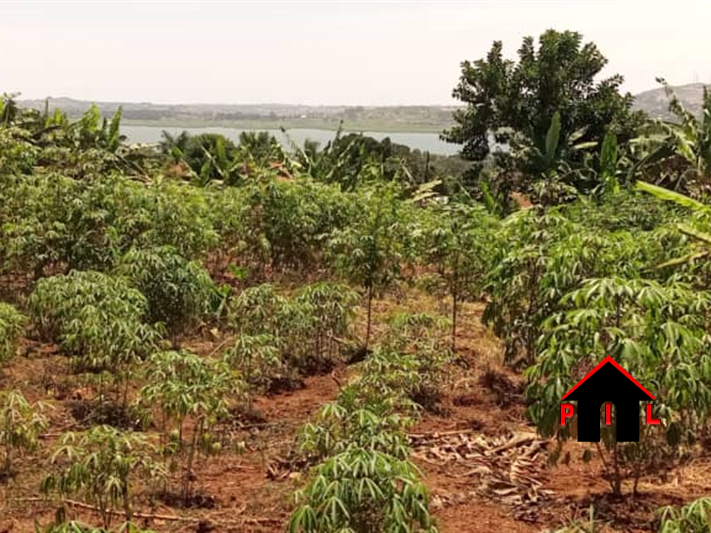 Commercial Land for sale in Kigo Wakiso