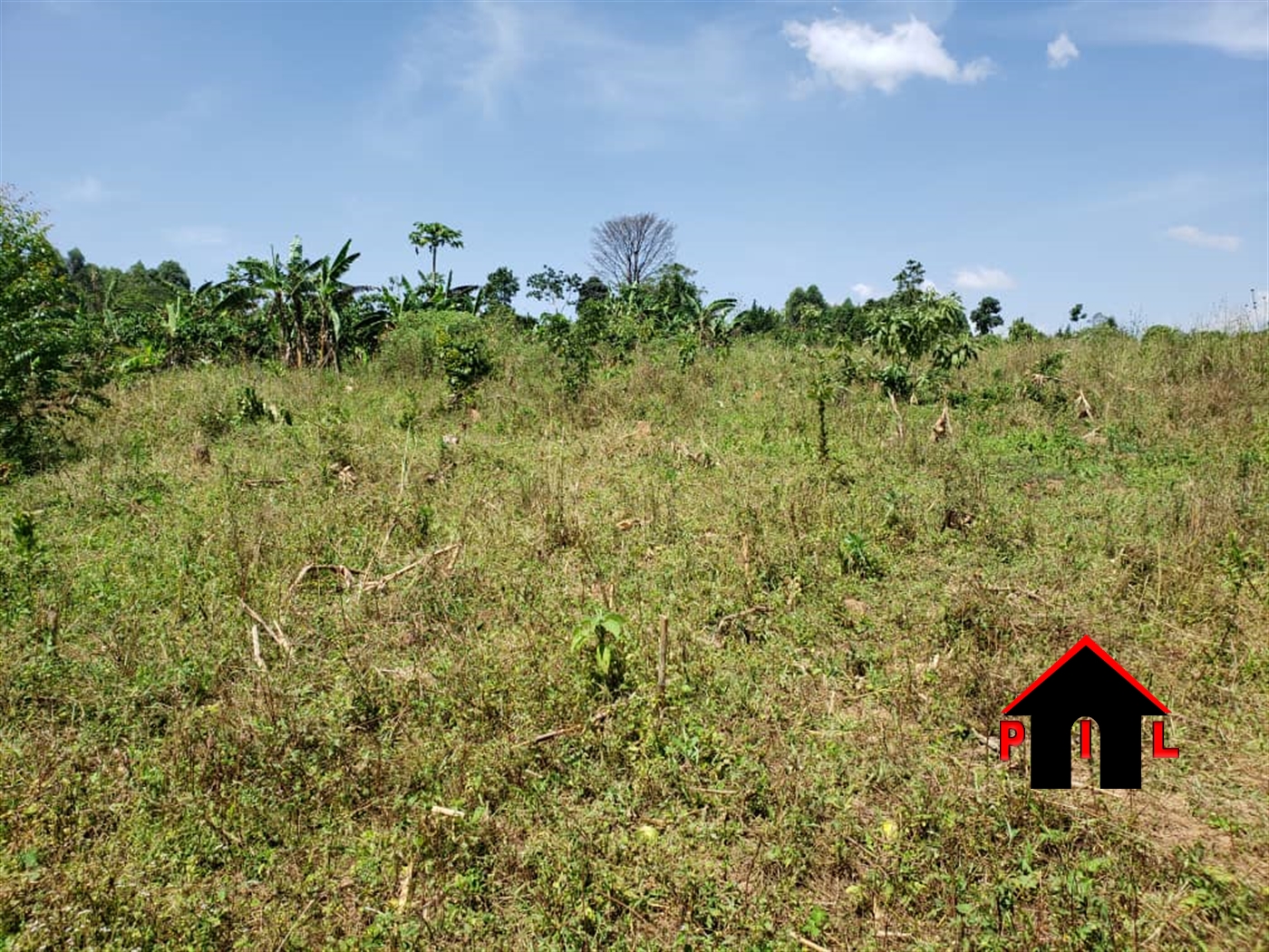 Commercial Land for sale in Bulwaanyi Wakiso