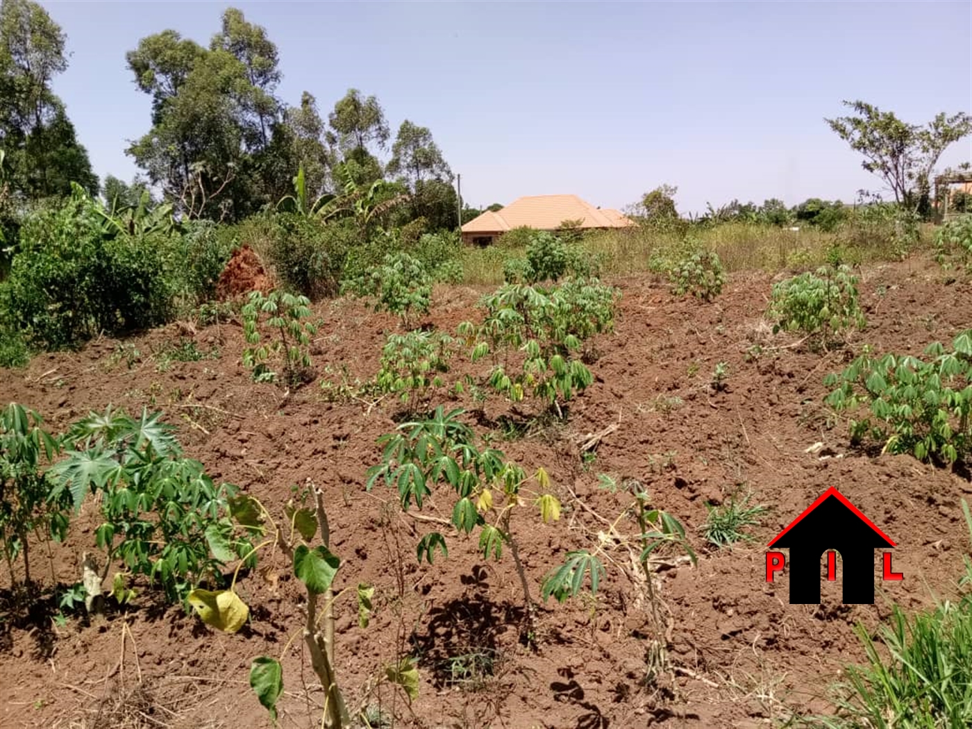 Residential Land for sale in Kiwenda Wakiso