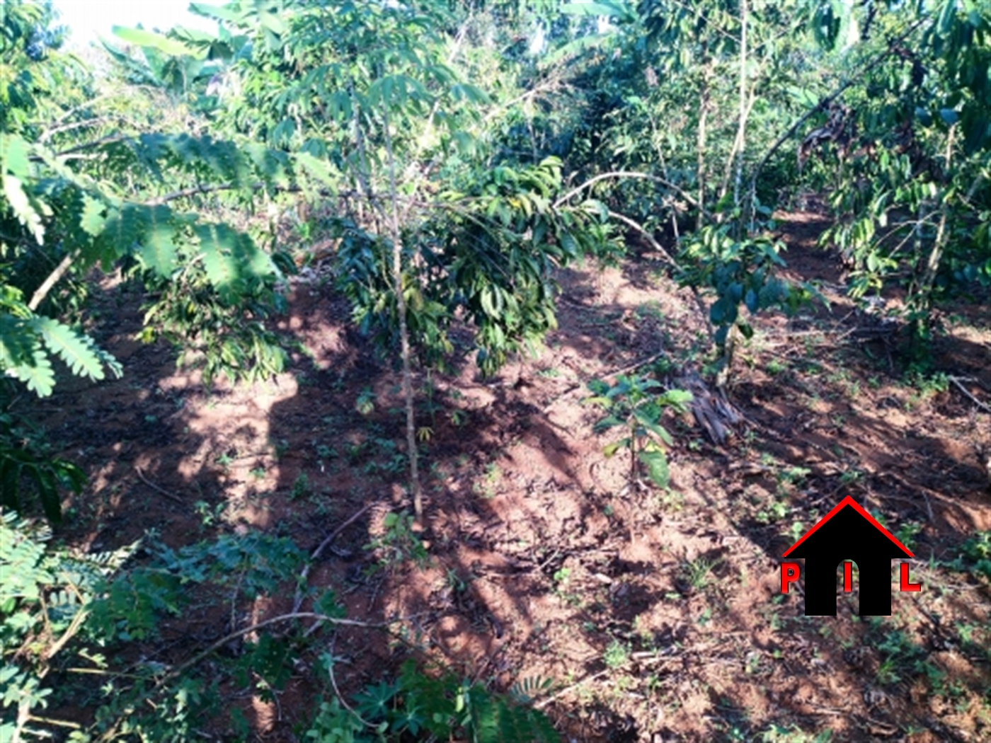 Agricultural Land for sale in Kamwaano Luweero