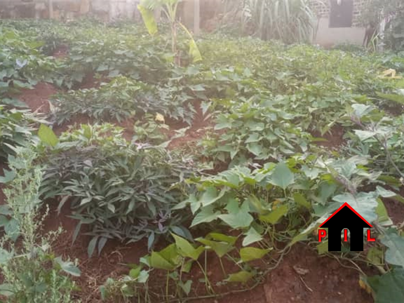 Commercial Land for sale in Kireka Wakiso