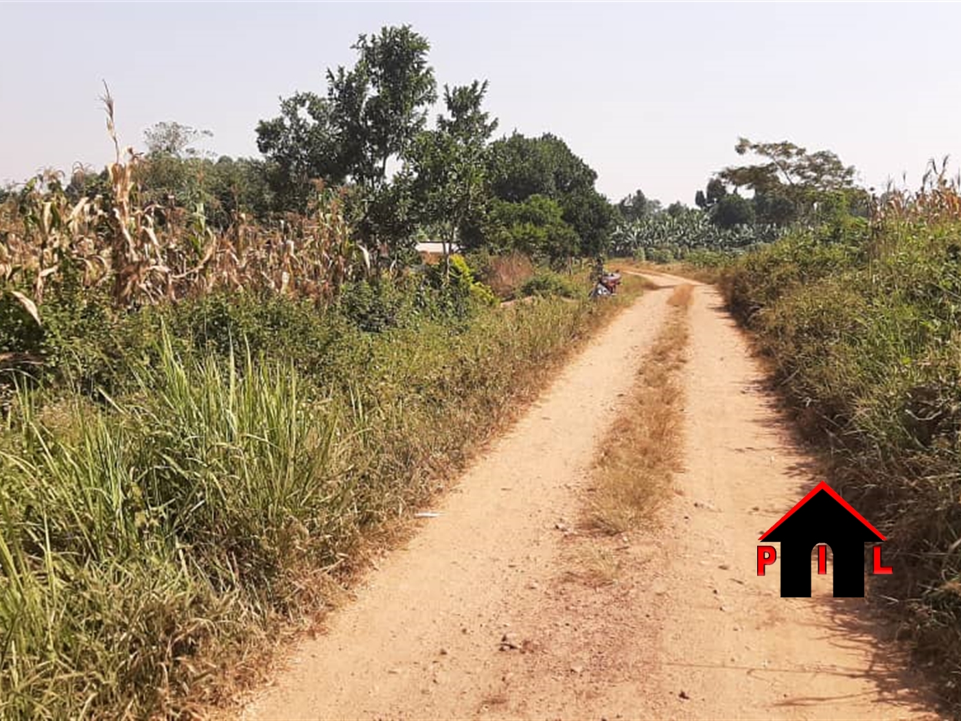 Commercial Land for sale in Buwalula Mityana