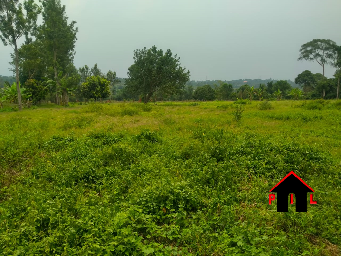 Commercial Land for sale in Nama Mukono