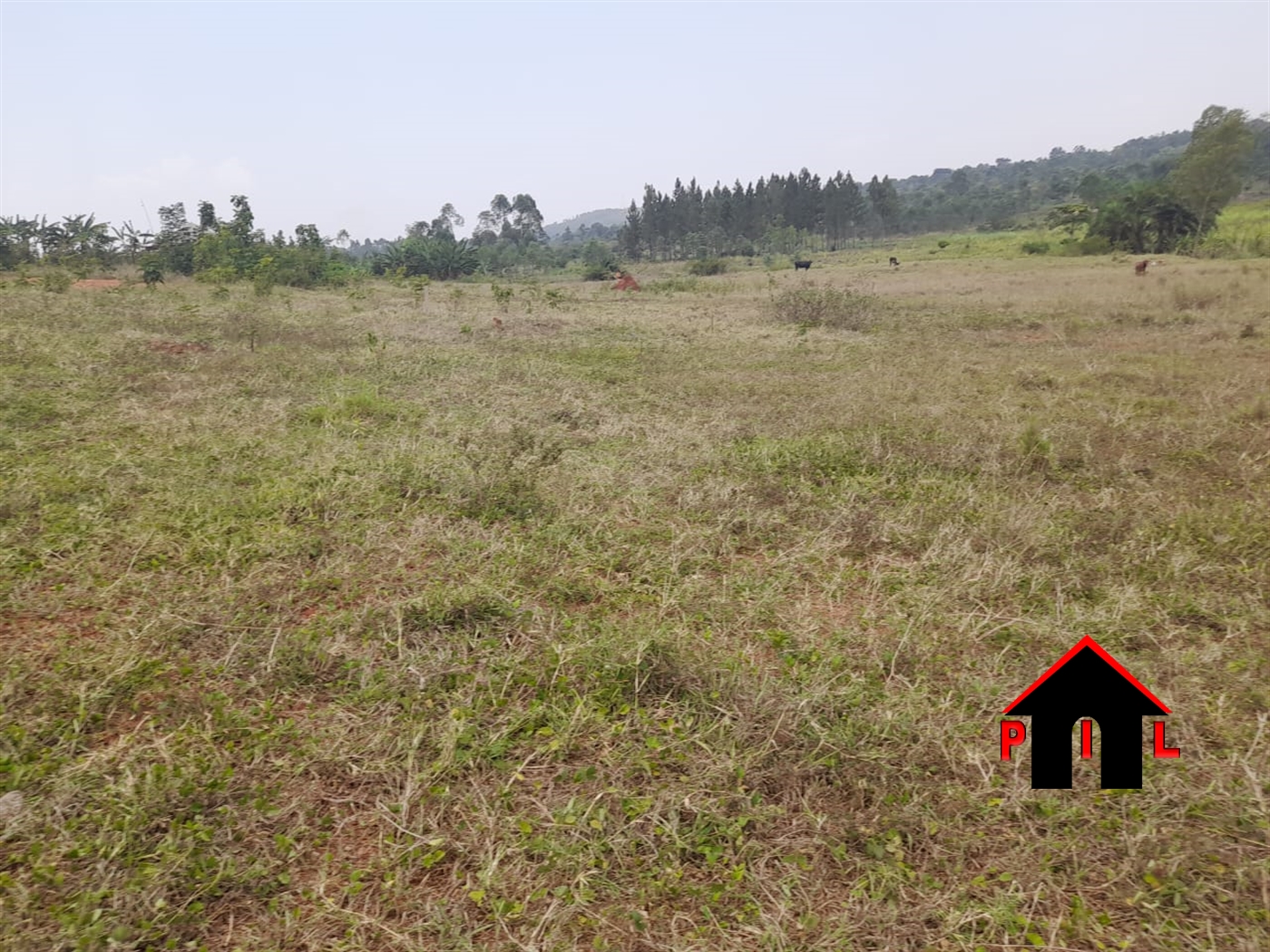 Residential Land for sale in Gayaza Wakiso