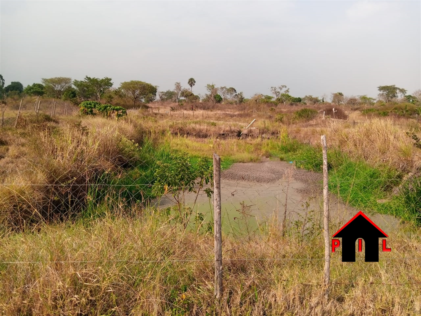 Agricultural Land for sale in Kikyuusa Luweero