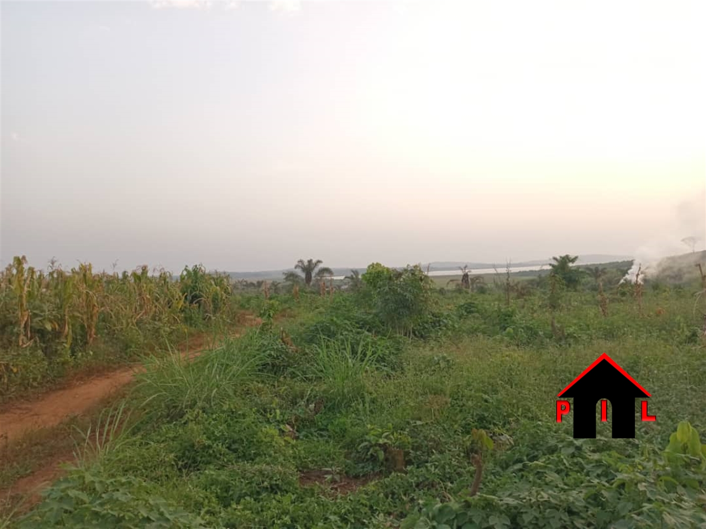 Agricultural Land for sale in Katosi Mukono