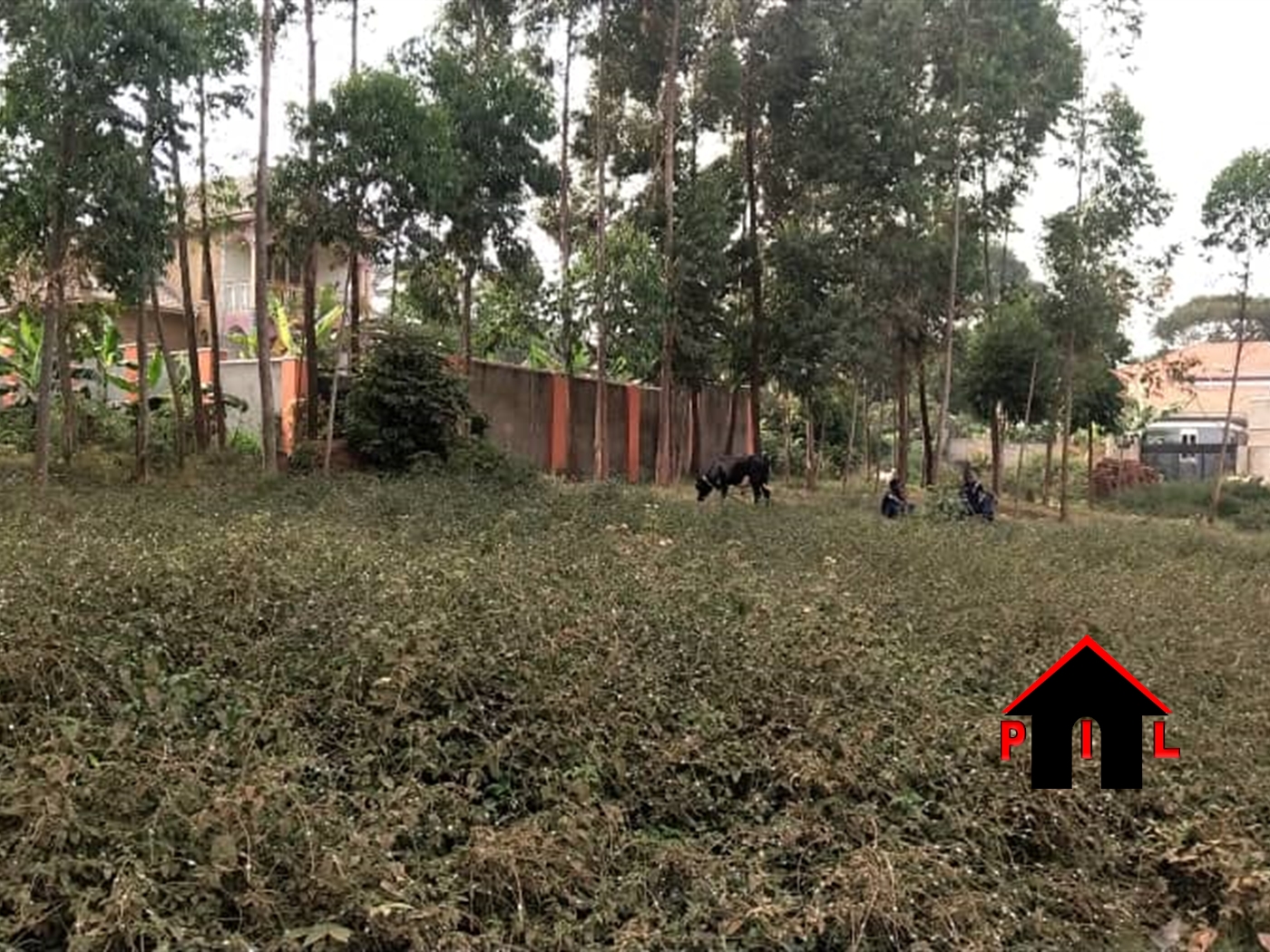 Residential Land for sale in Entebbe Wakiso