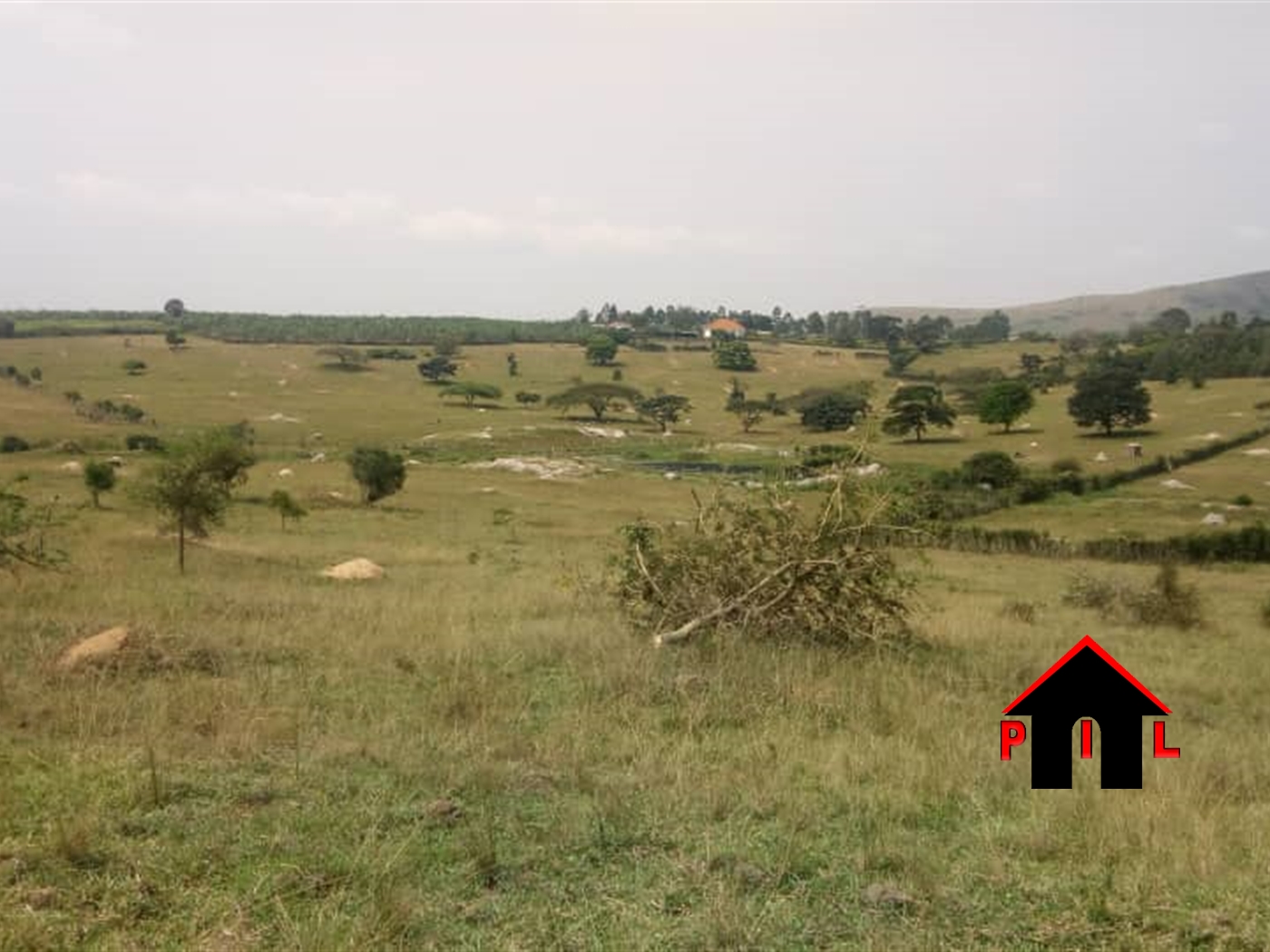 Farm for sale in Rubuya Mbarara