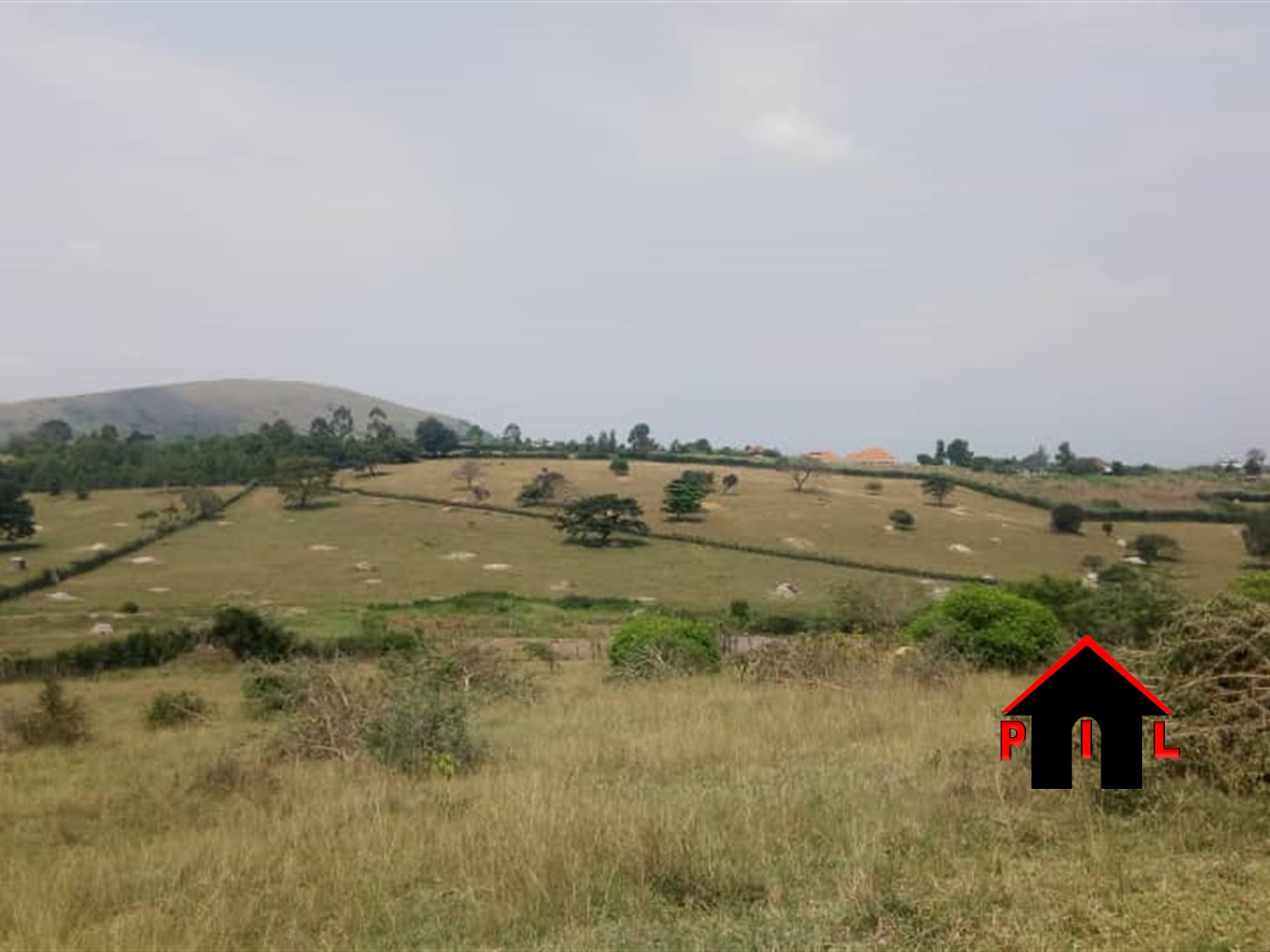 Farm for sale in Rubuya Mbarara