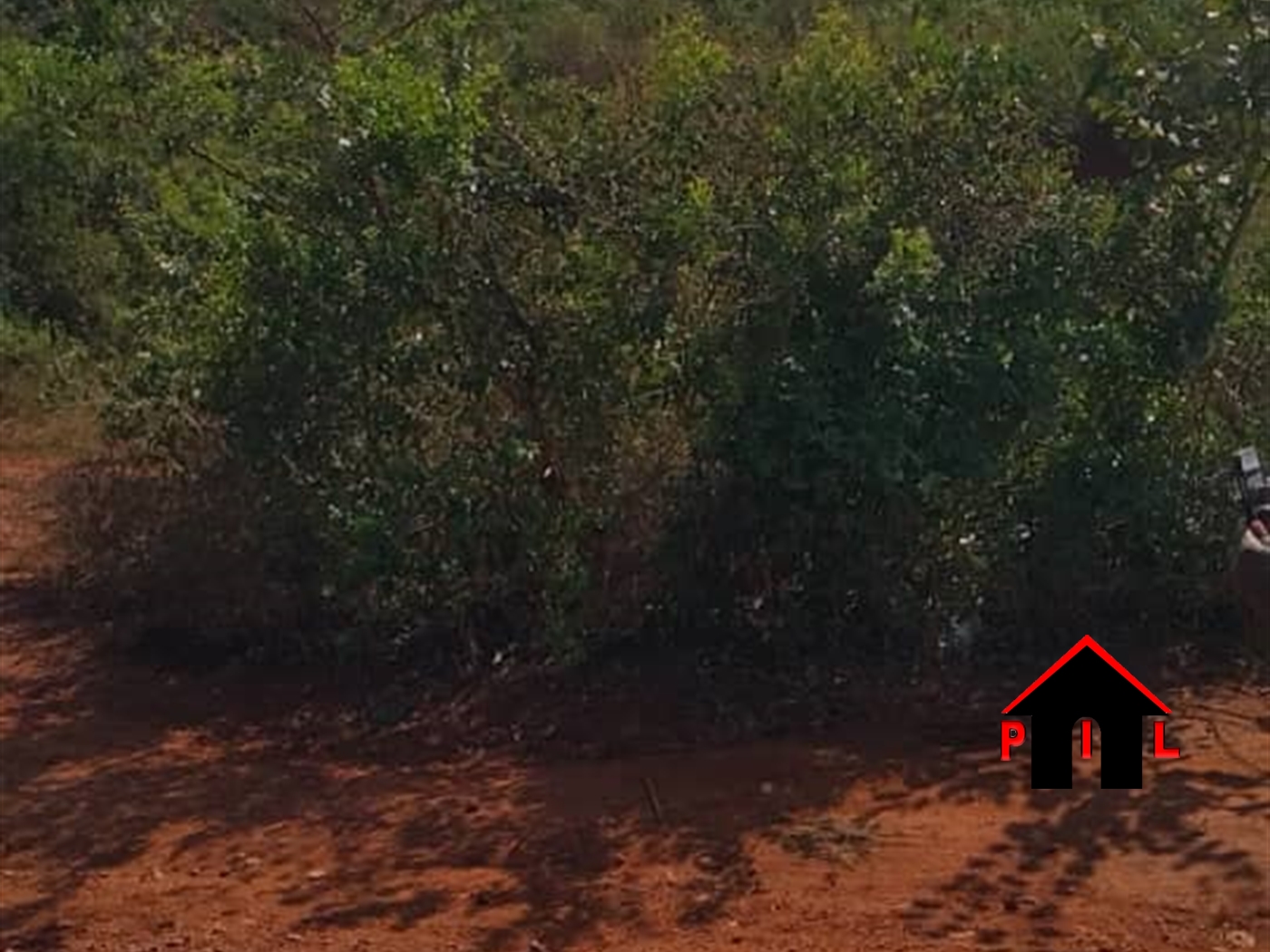 Residential Land for sale in Nkumba Wakiso