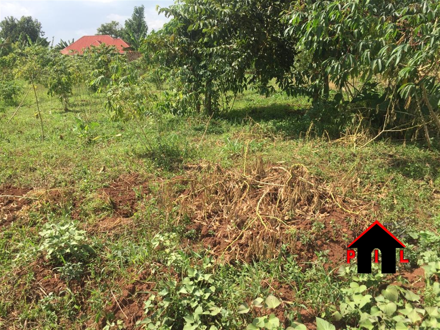 Residential Land for sale in Saayi Wakiso