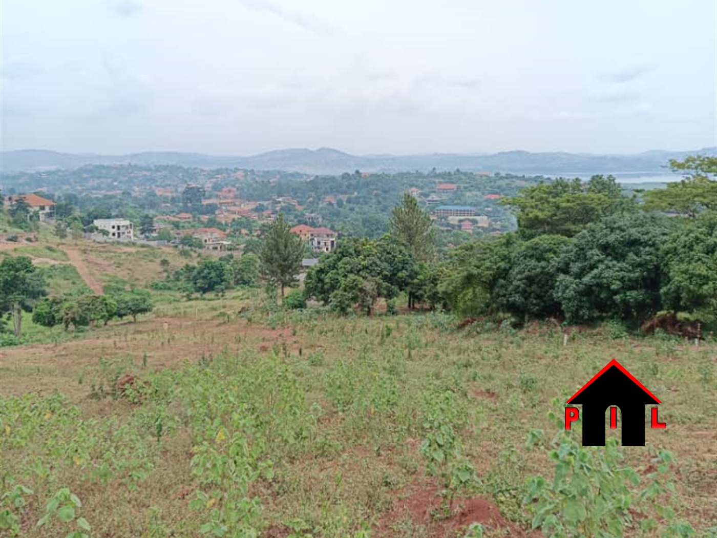 Agricultural Land for sale in Lunyolya Luweero