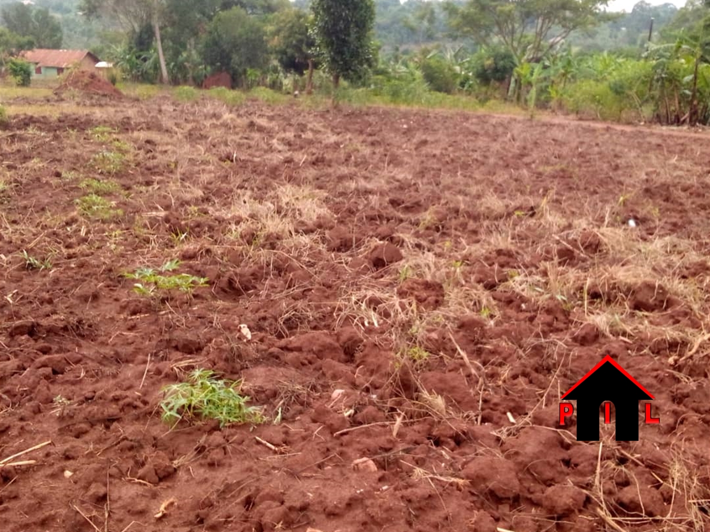 Residential Land for sale in Kitanda Mukono