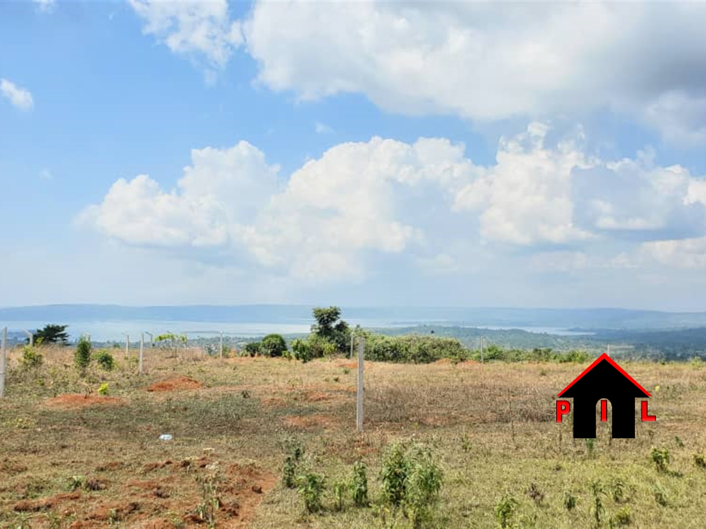 Agricultural Land for sale in Kiyindi Buyikwe