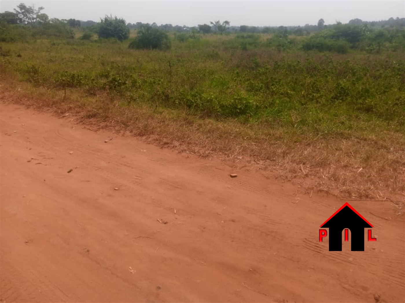 Farm for sale in Janda Luweero