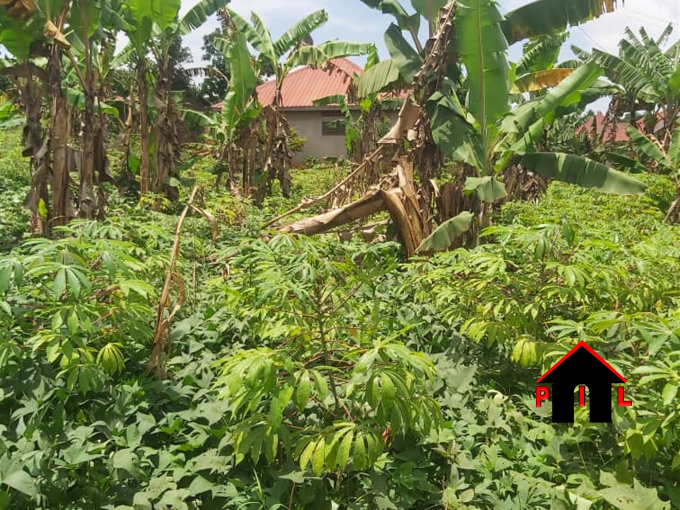 Residential Land for sale in Kajjansi Wakiso