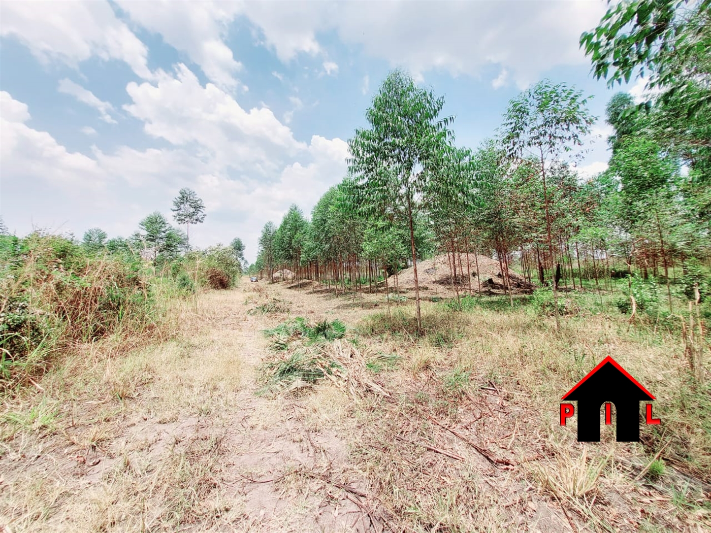 Commercial Land for sale in Ziloobwe Luweero