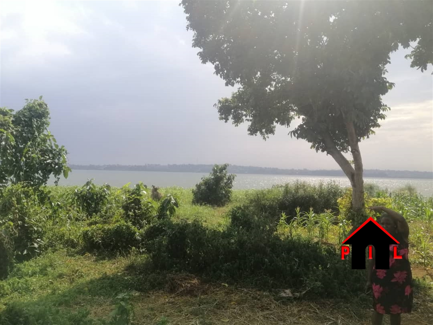 Commercial Land for sale in Bwelenga Wakiso