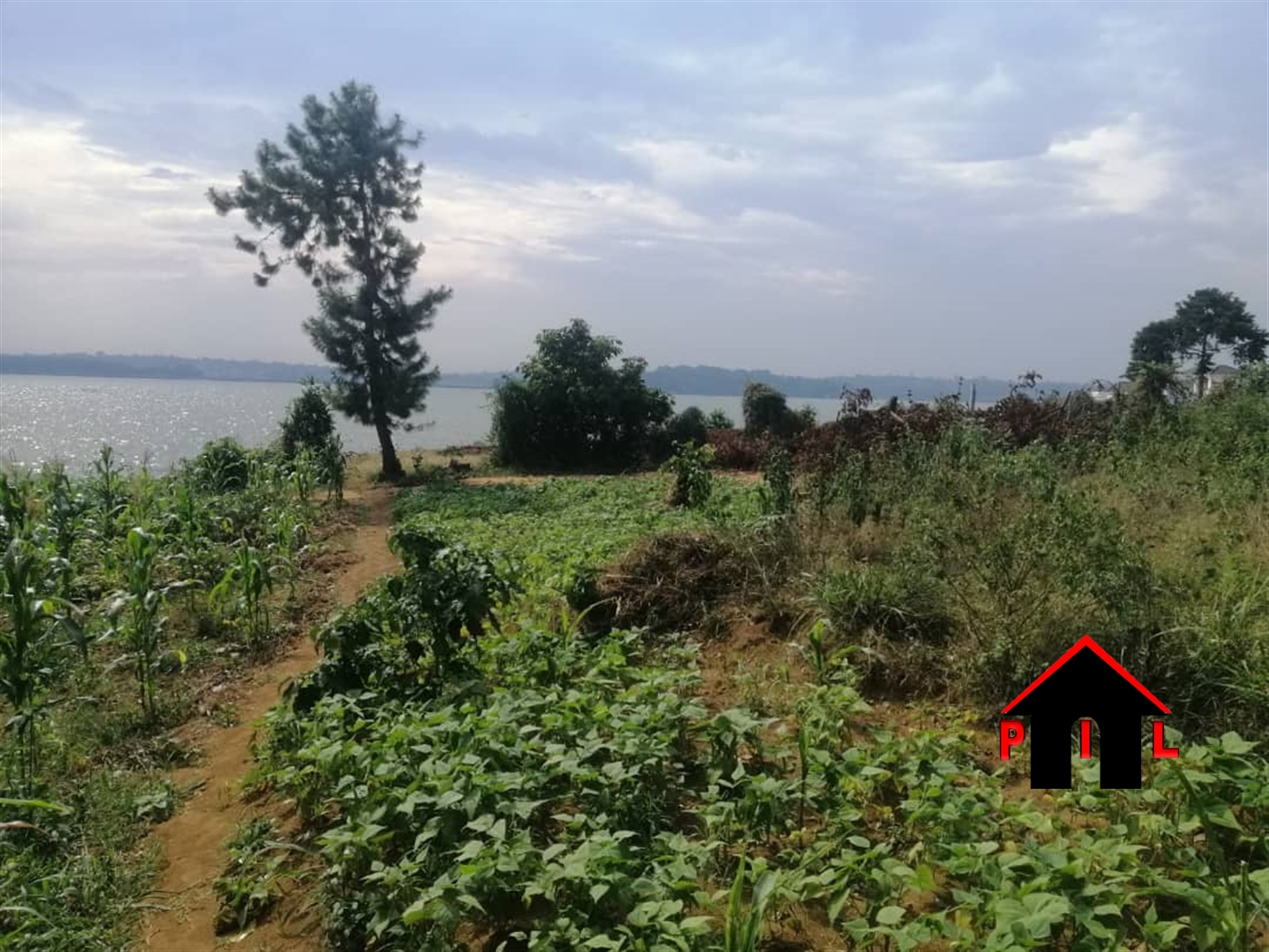 Commercial Land for sale in Bwelenga Wakiso