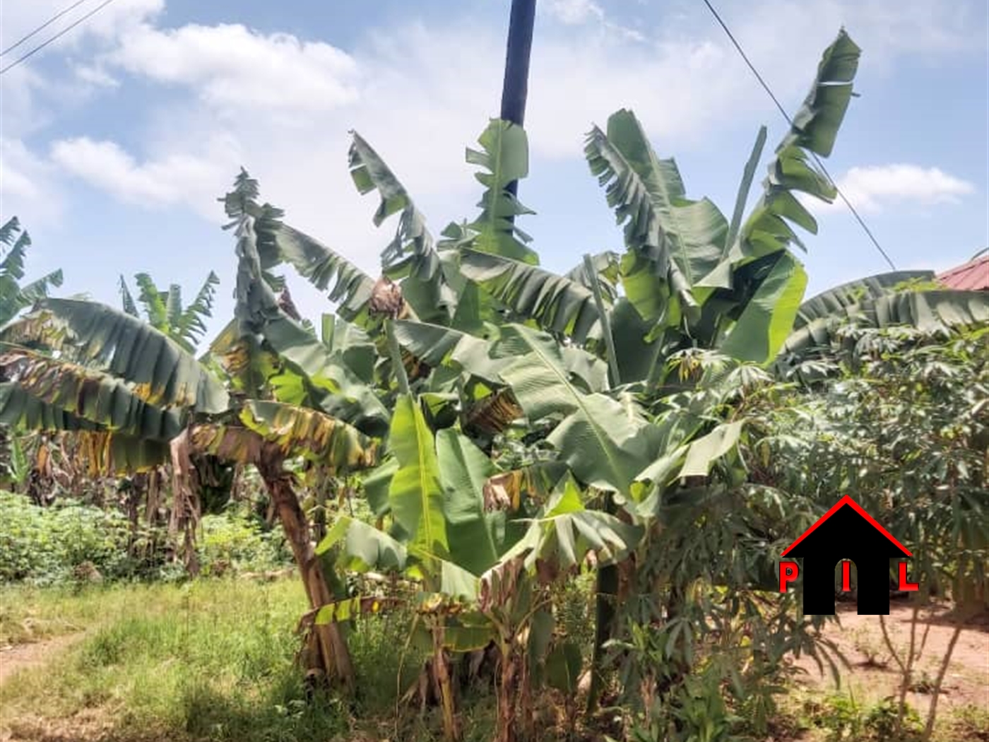 Residential Land for sale in Kajjansi Wakiso