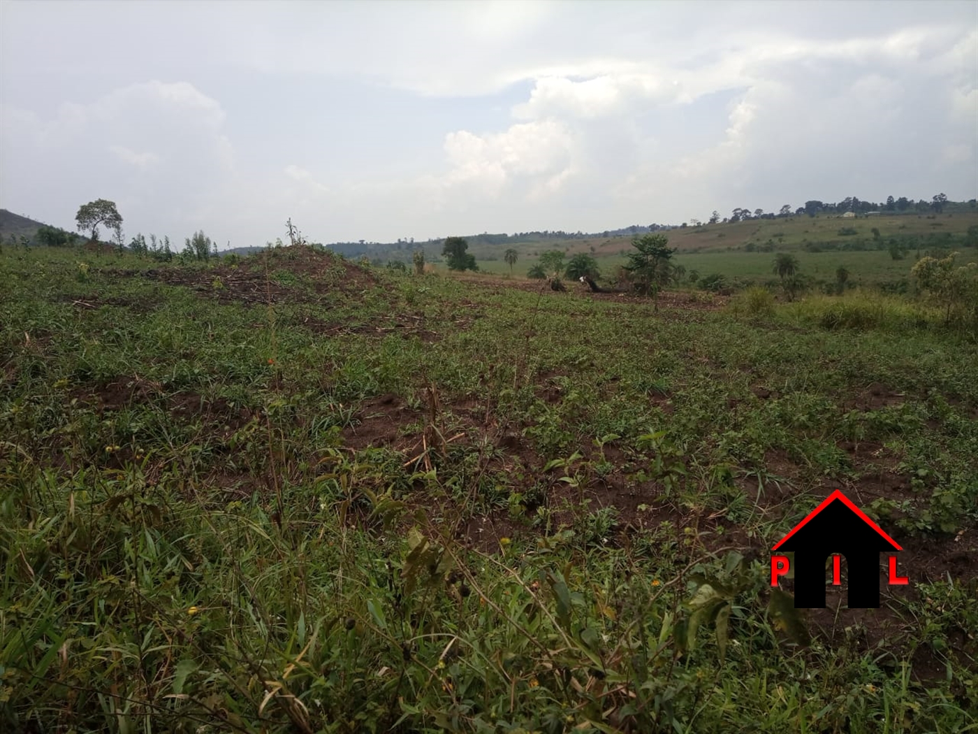 Agricultural Land for sale in Madudu Mubende