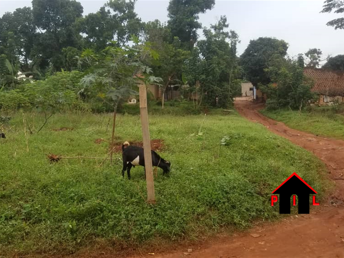 Commercial Land for sale in Kitara Wakiso