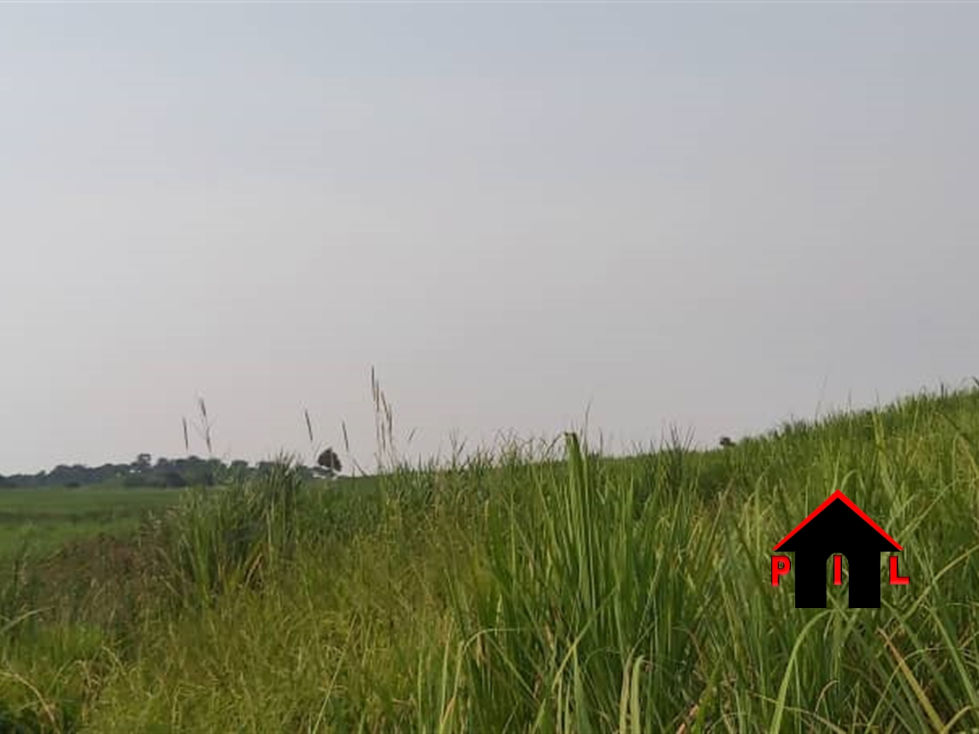 Agricultural Land for sale in Buseruka Hoima