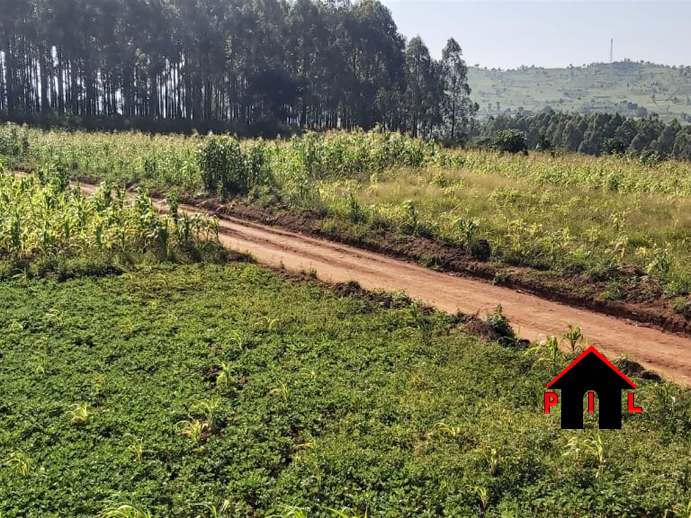 Agricultural Land for sale in Buswa Mubende