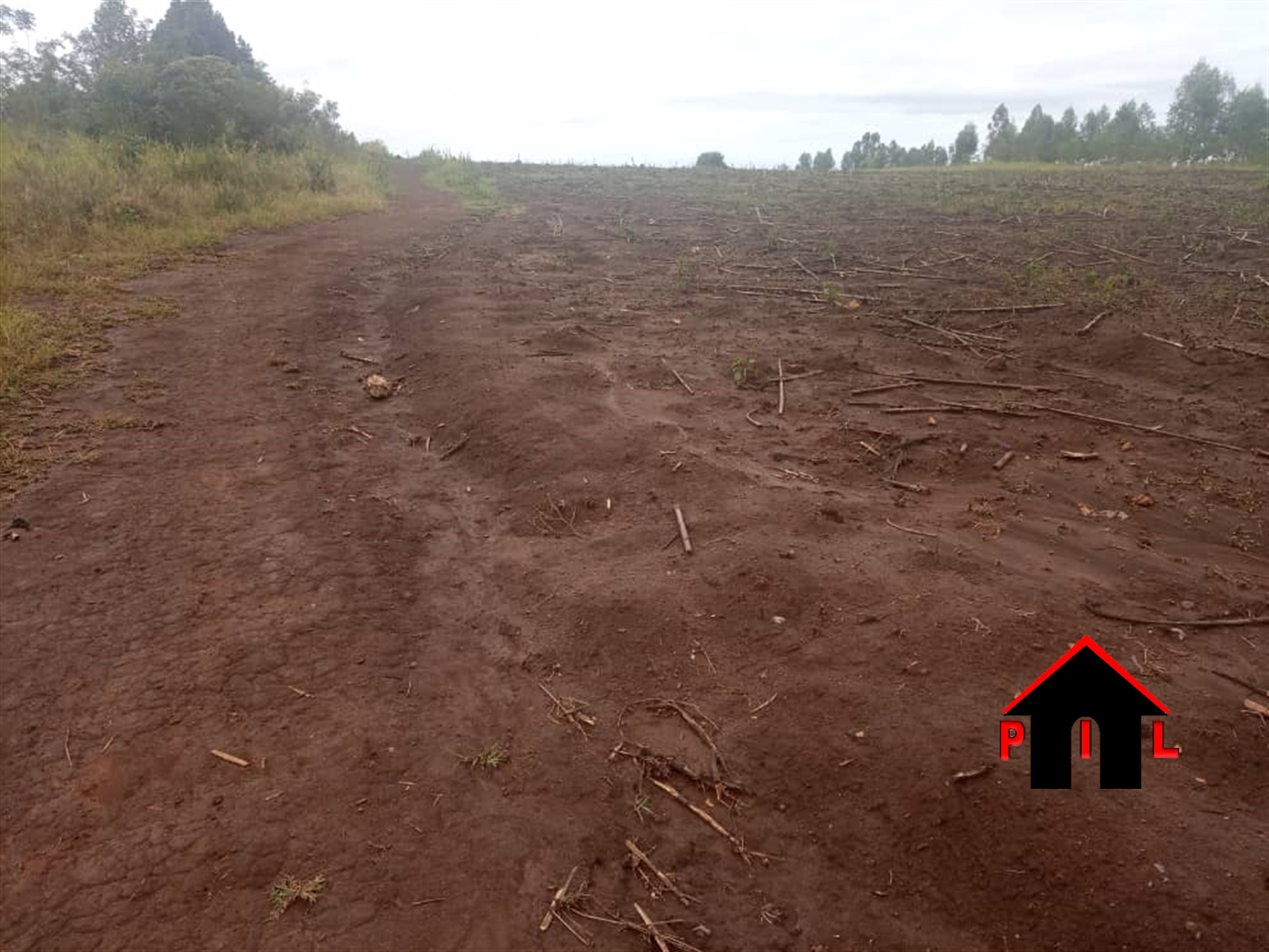 Agricultural Land for sale in Kigumba Kiryandongo