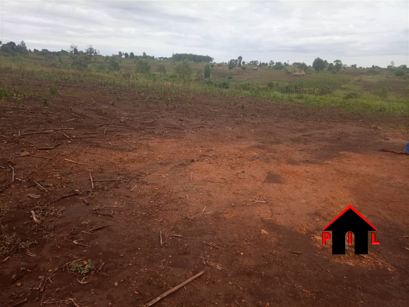 Agricultural Land for sale in Kigumba Kiryandongo