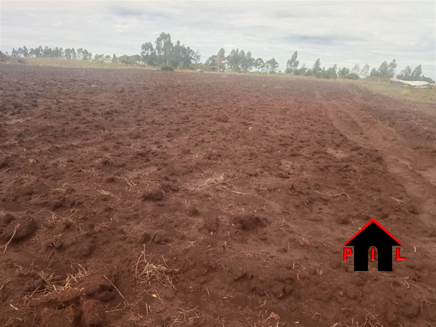 Agricultural Land for sale in Kigumba Kiryandongo