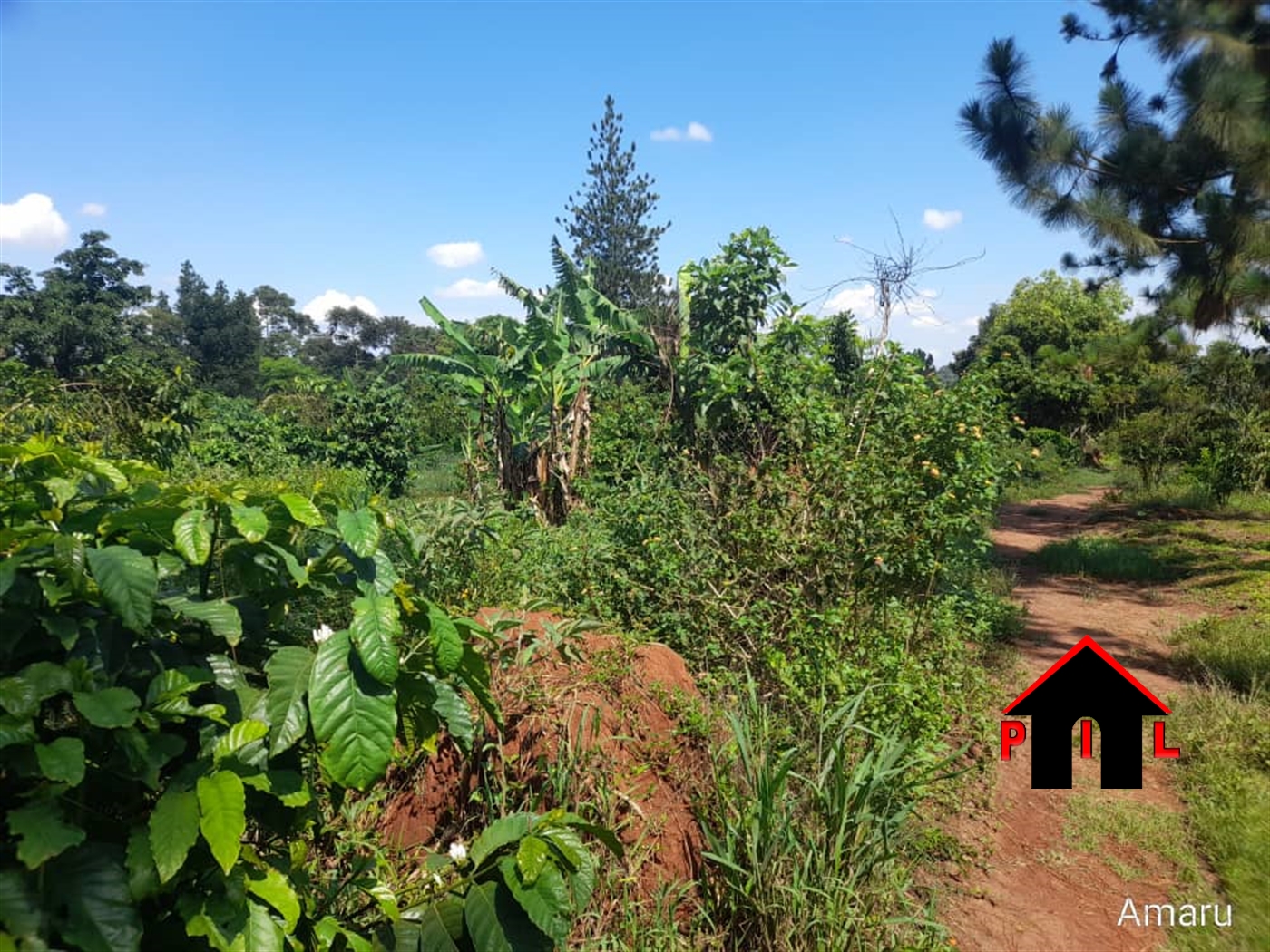 Commercial Land for sale in Wabitungulu Luweero