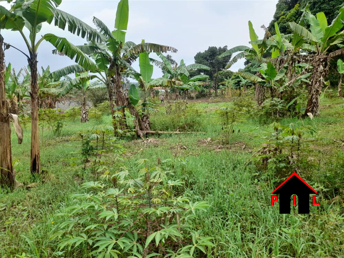 Residential Land for sale in Gayaza Wakiso