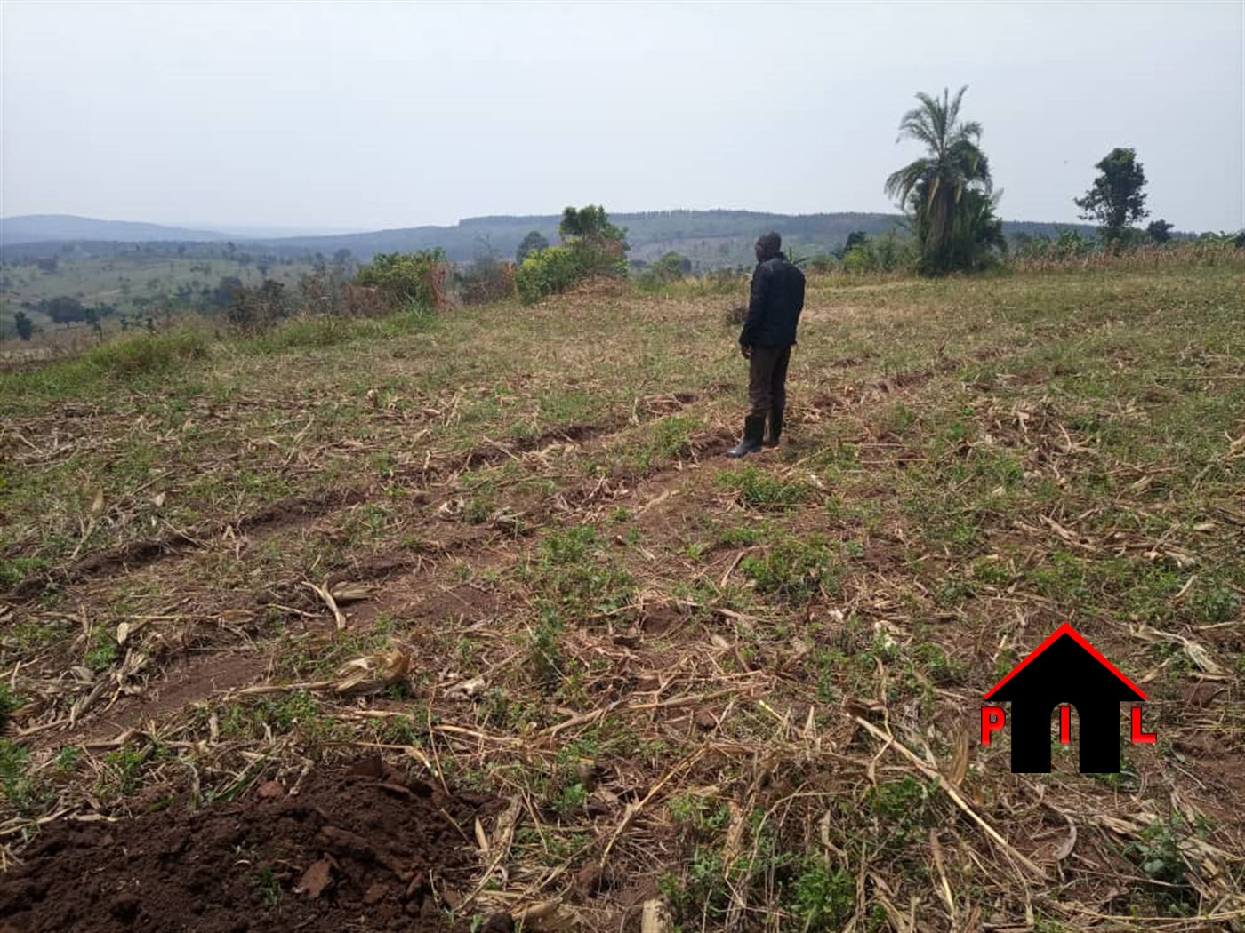 Agricultural Land for sale in Kassanda Mubende