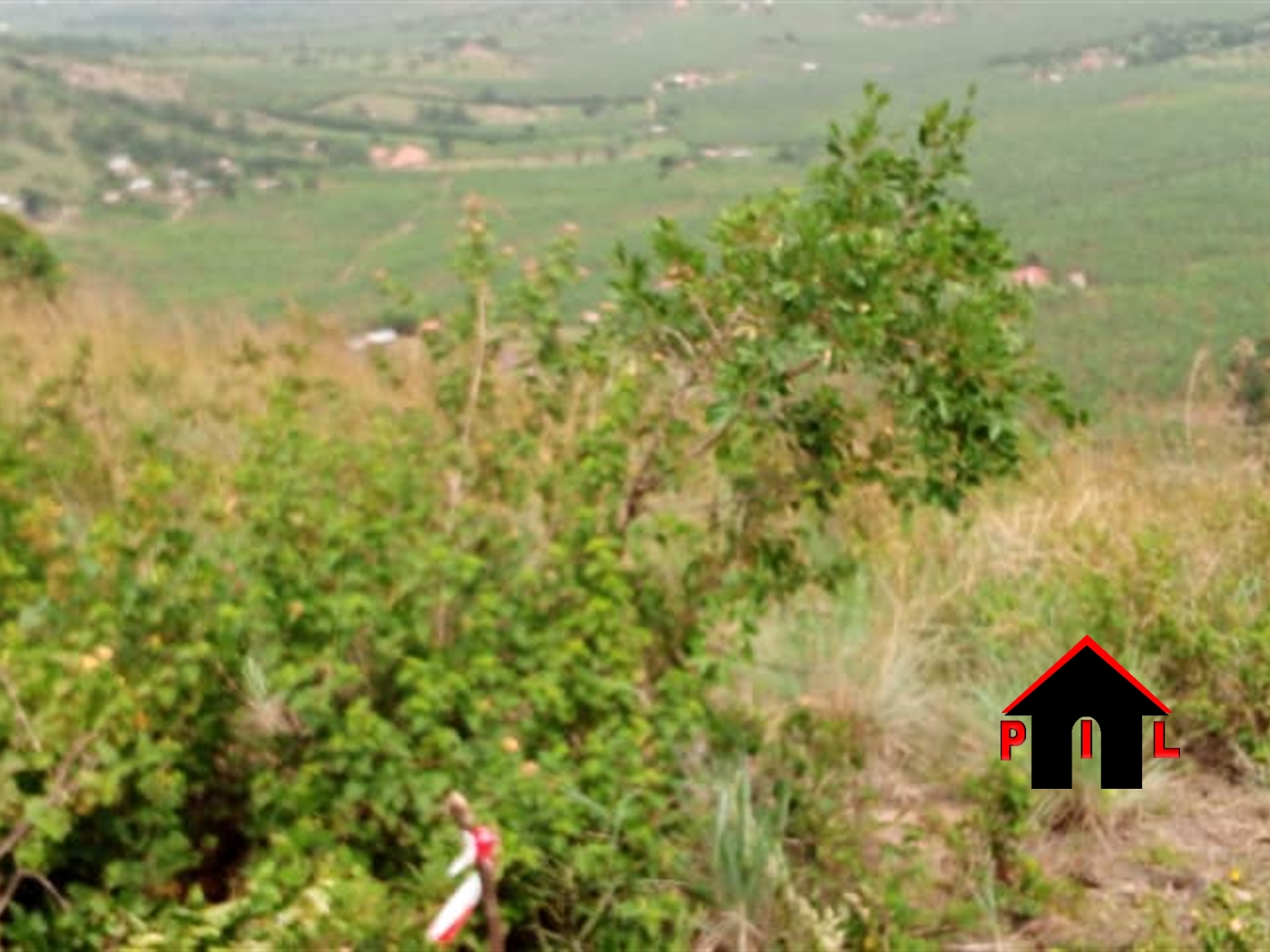 Residential Land for sale in Katamba Mbarara