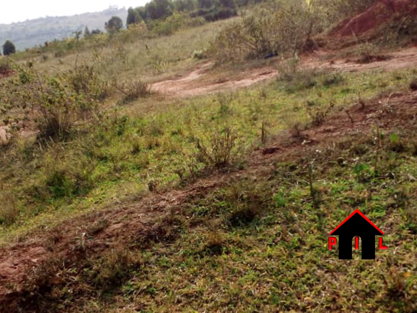 Residential Land for sale in Rwobuyenje Mbarara