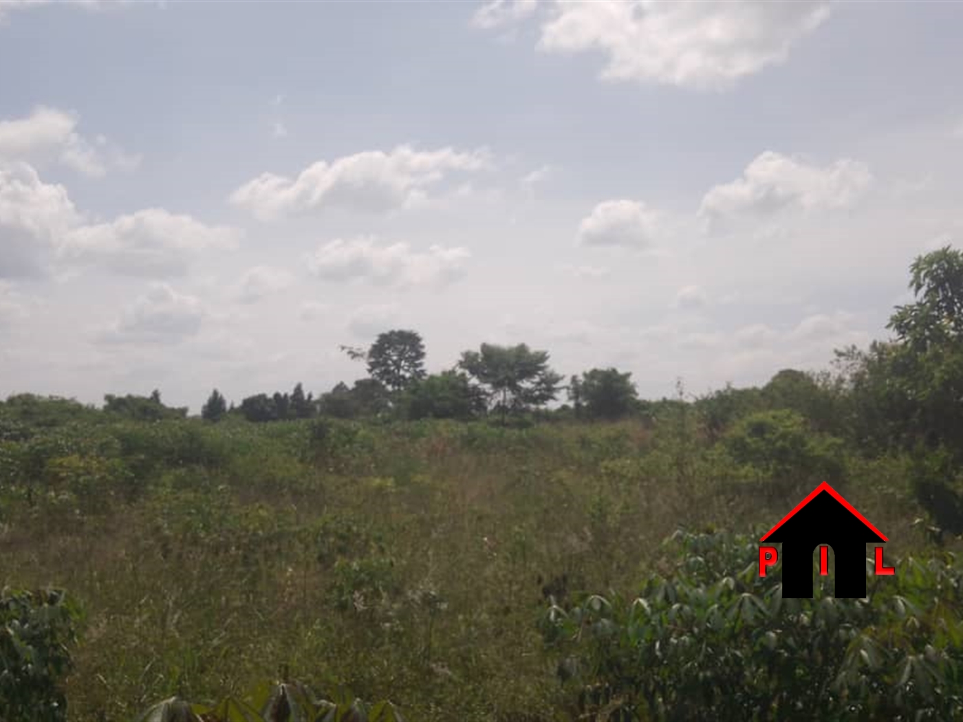 Agricultural Land for sale in Bbaale Kayunga