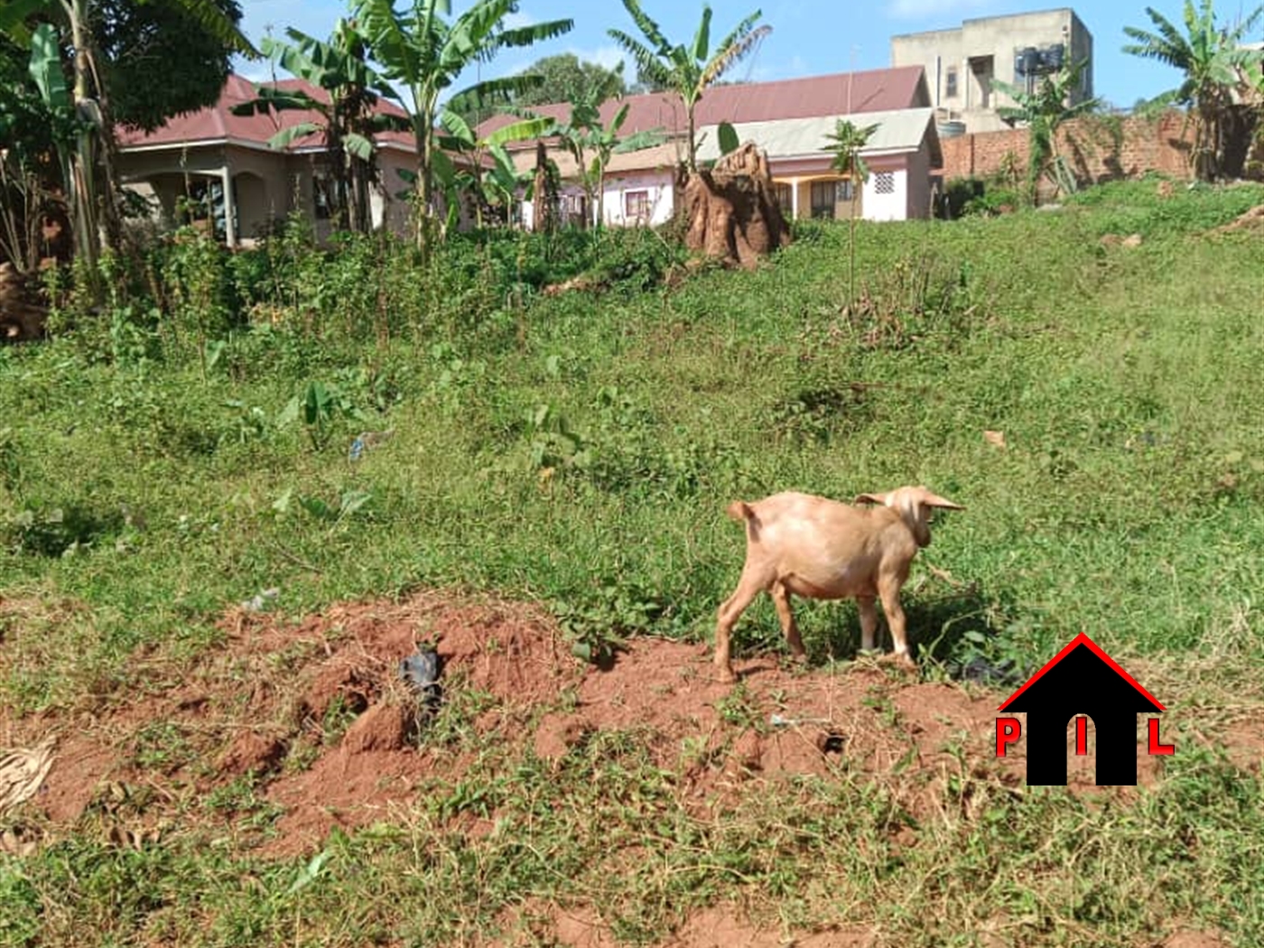 Commercial Land for sale in Bweya Wakiso