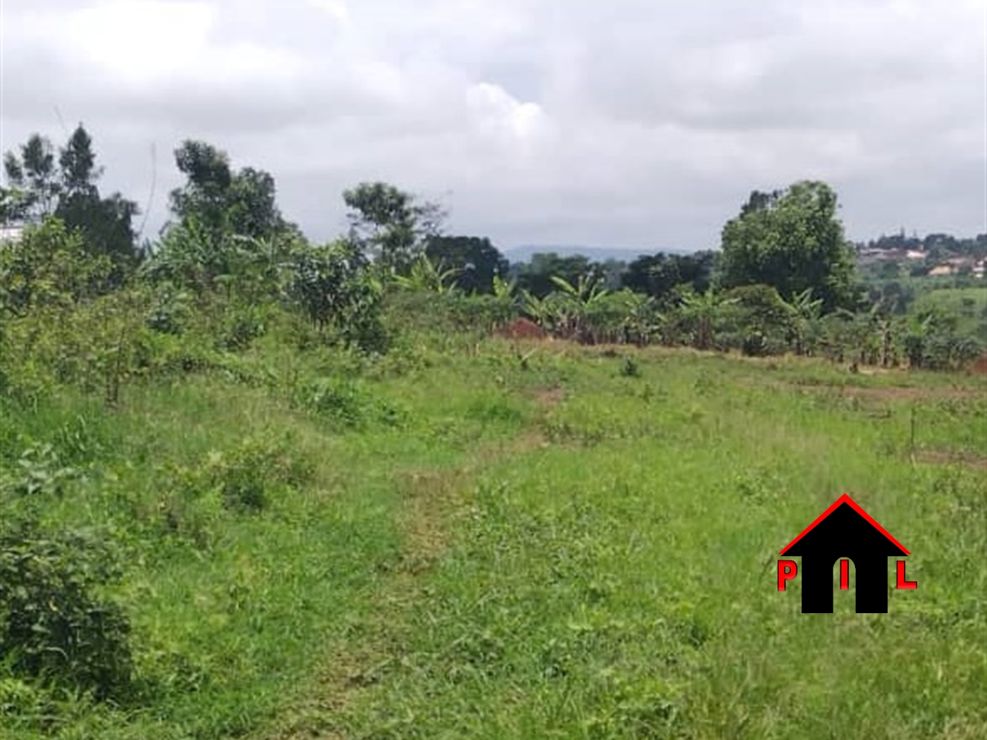 Agricultural Land for sale in Kikuube Hoima